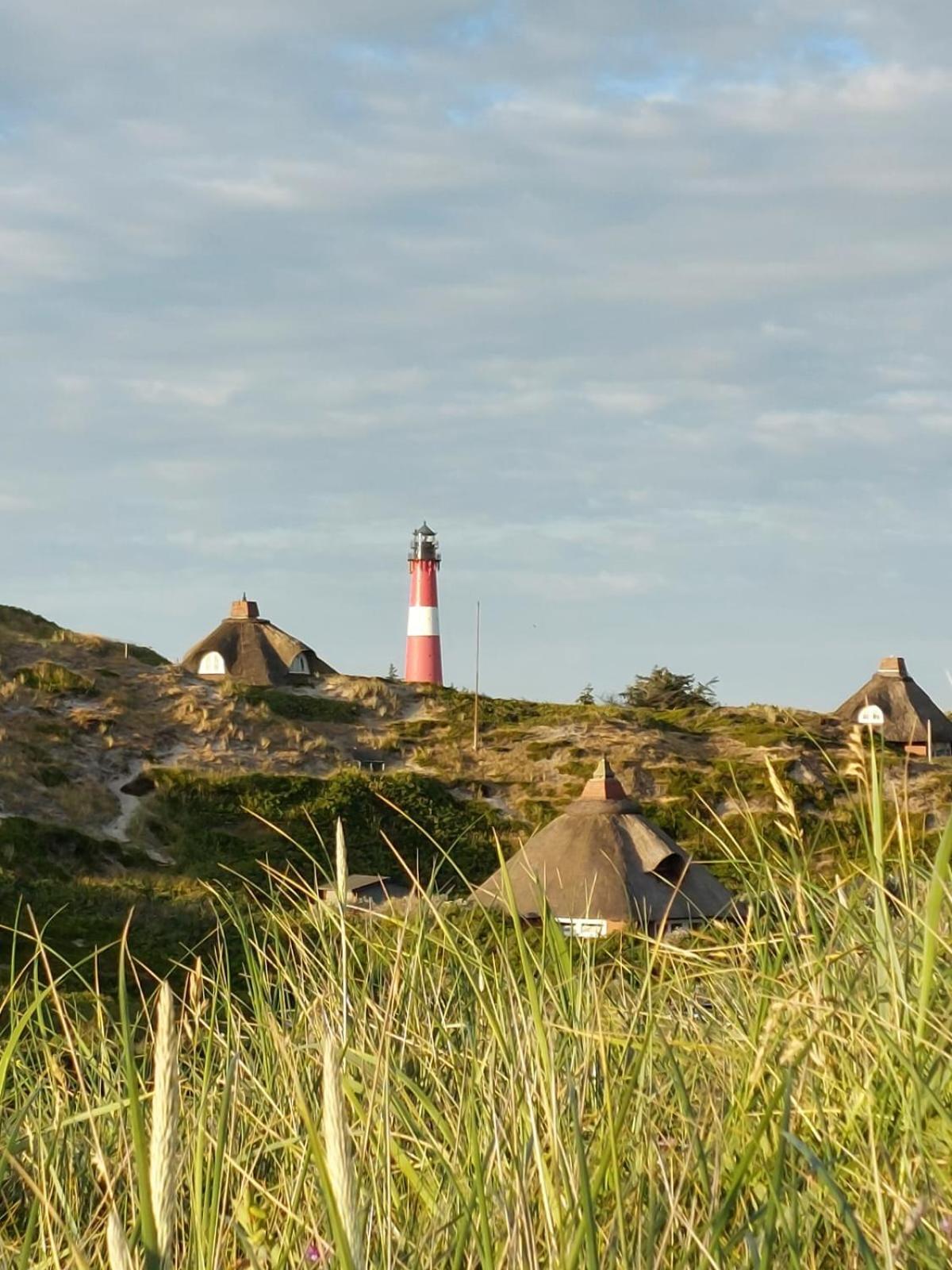 Duenenliebe * Rantum (Sylt)