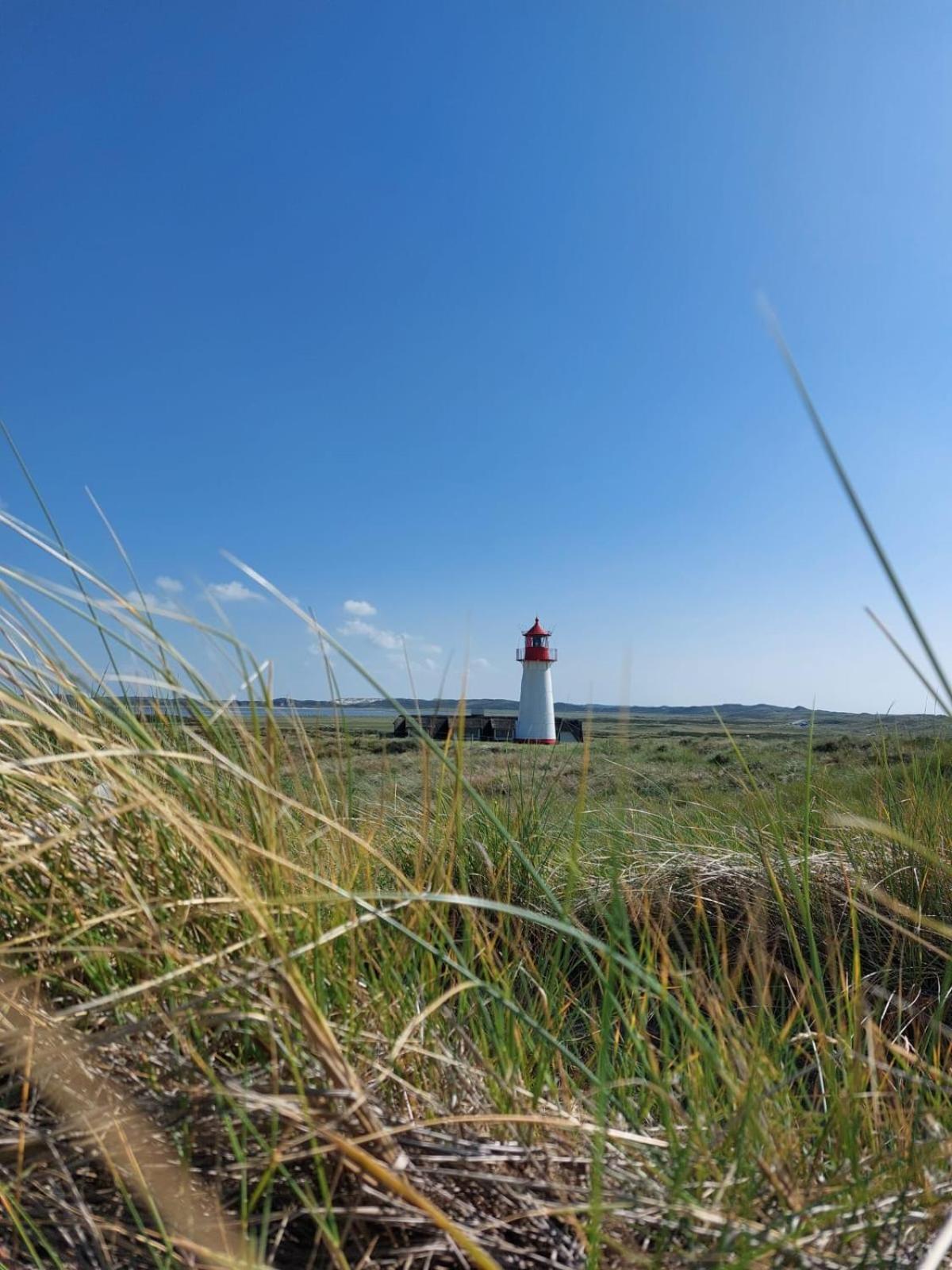 Duenenliebe Rantum (Sylt)